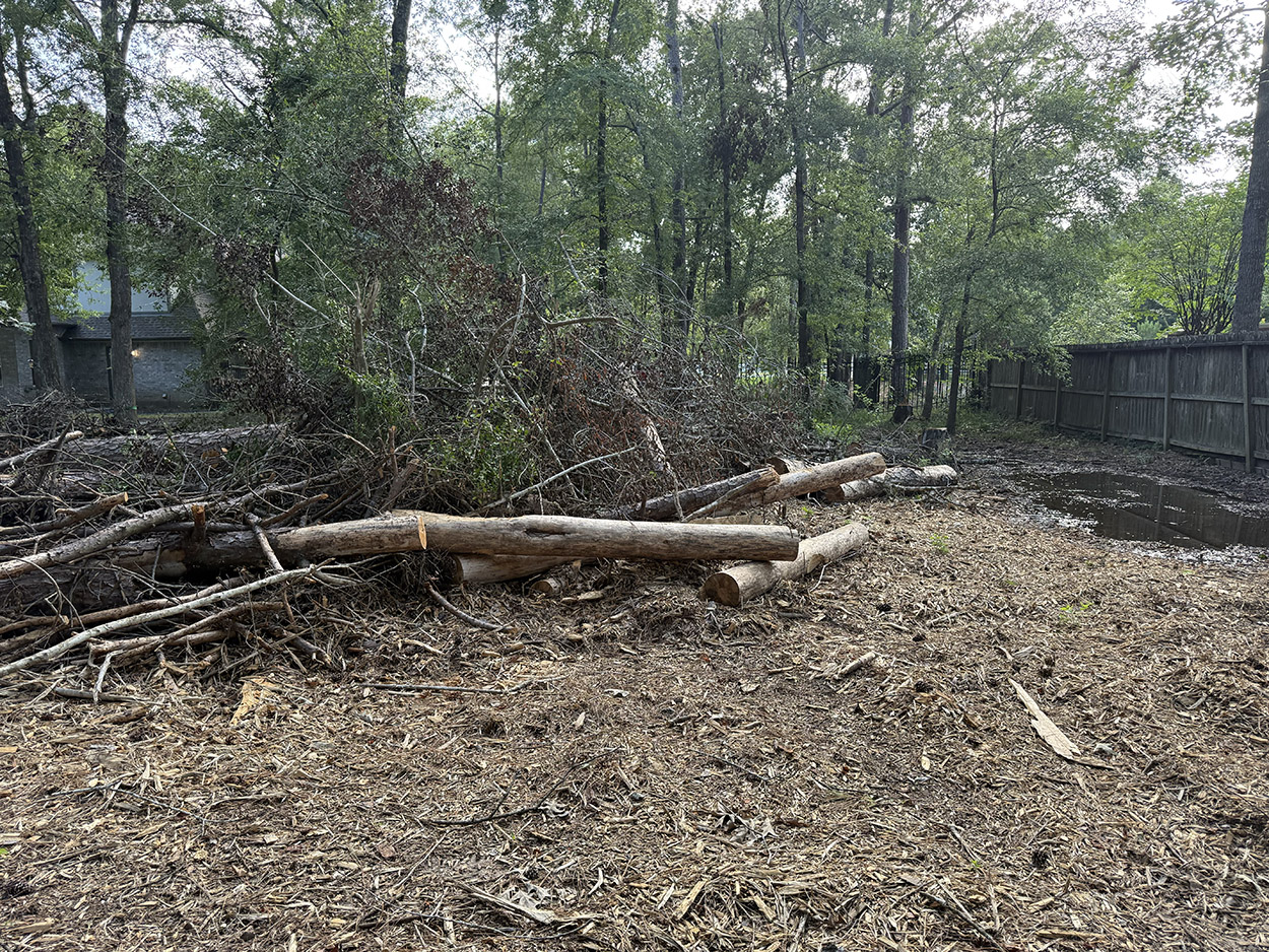 Land Clearing